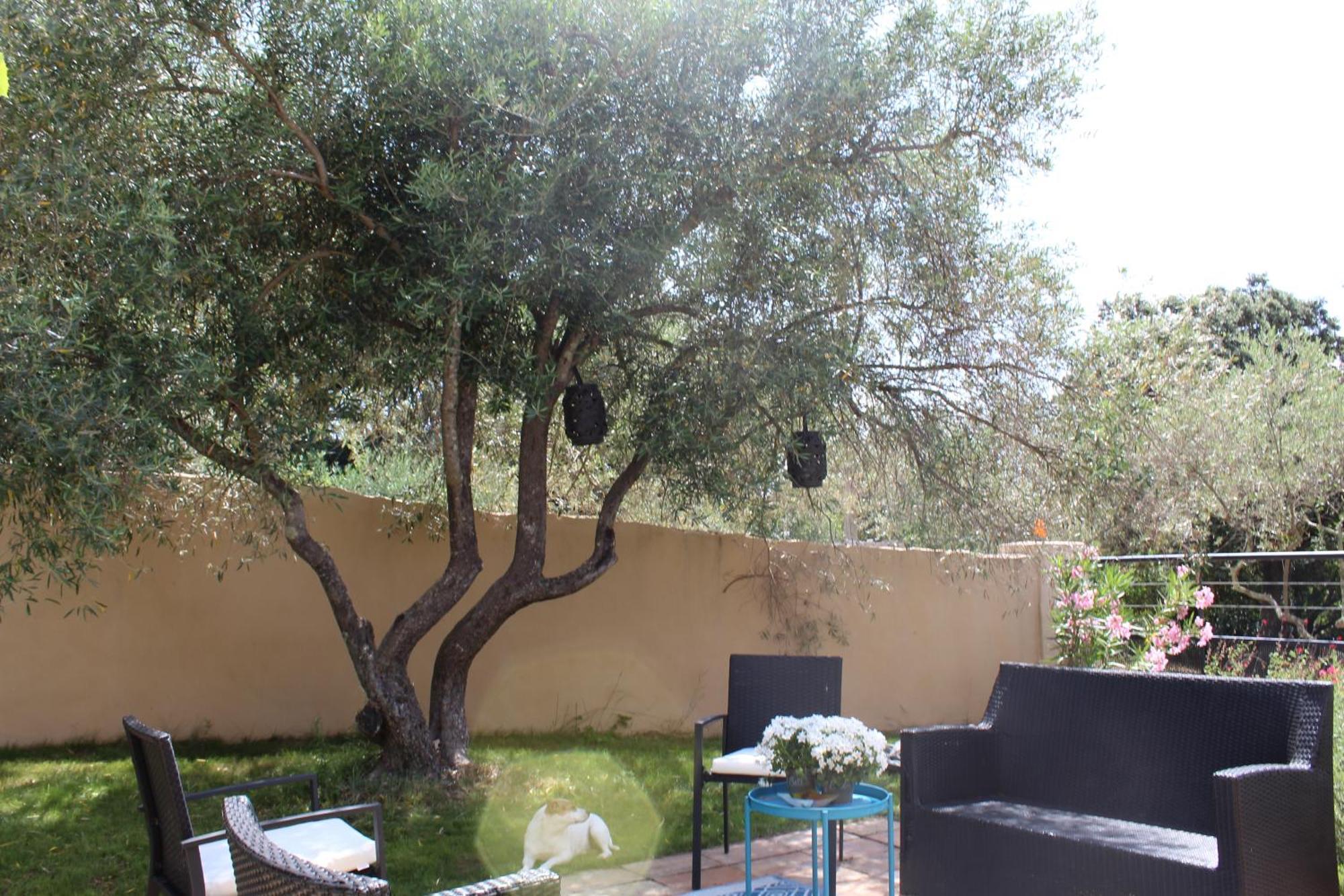 Villa Pierre Blanche Le Calme A 5Mn Du Centre Ville Νιμ Εξωτερικό φωτογραφία